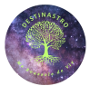 Destinastro.fr